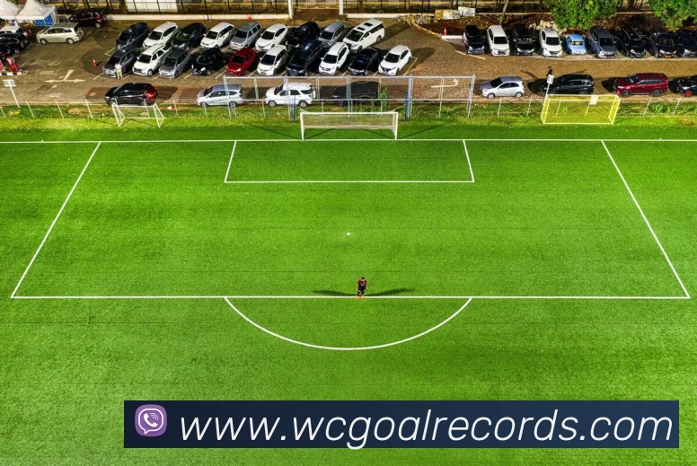 奖项证书